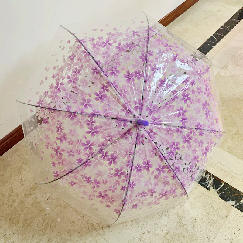Paraguas Transparente